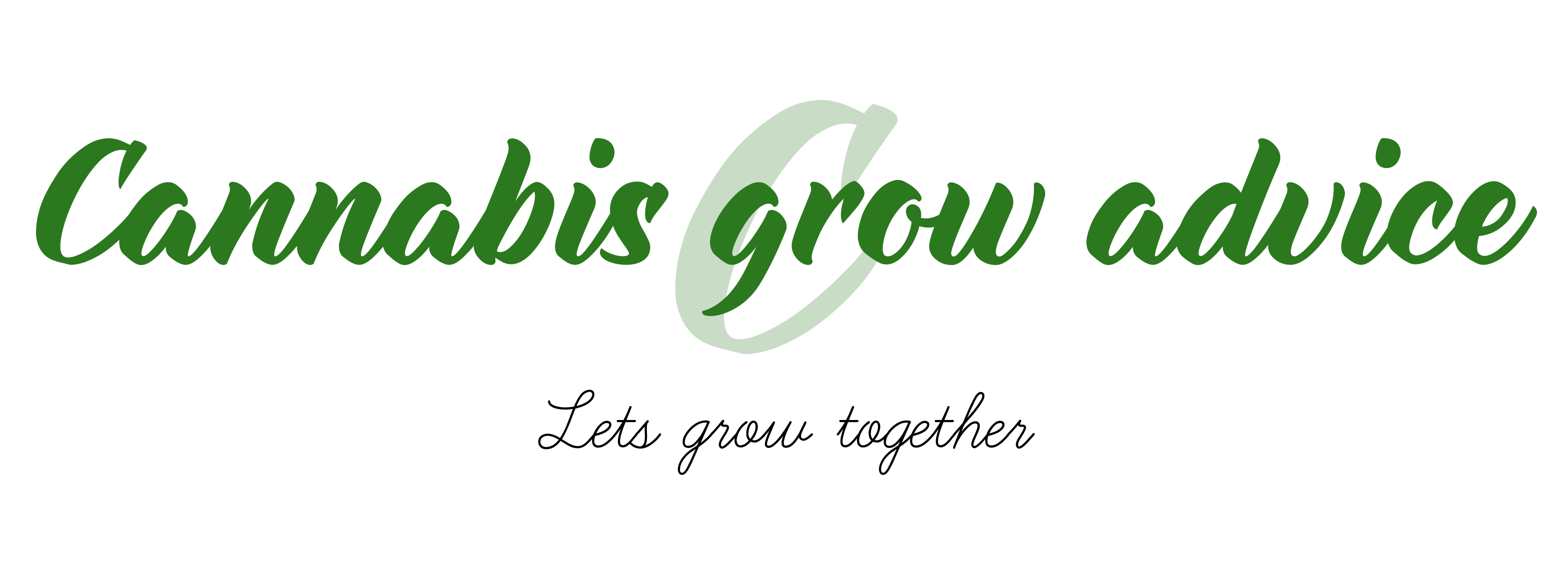 Cannabis Grow Advice